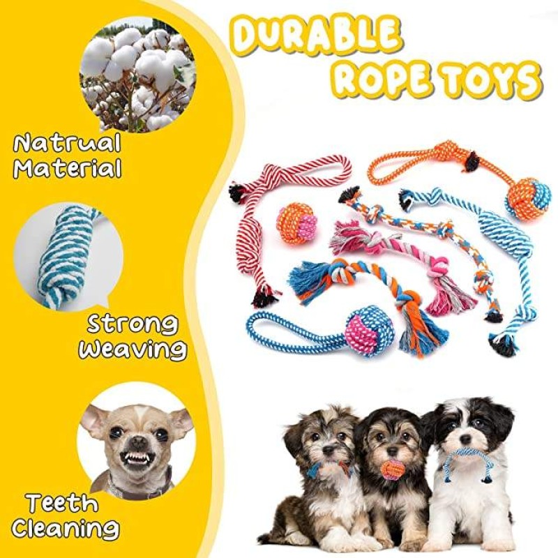 Dog Chew Toy Set Manufacturer - Qbellpet Custom 18 Pack Teeth Cleaning Set