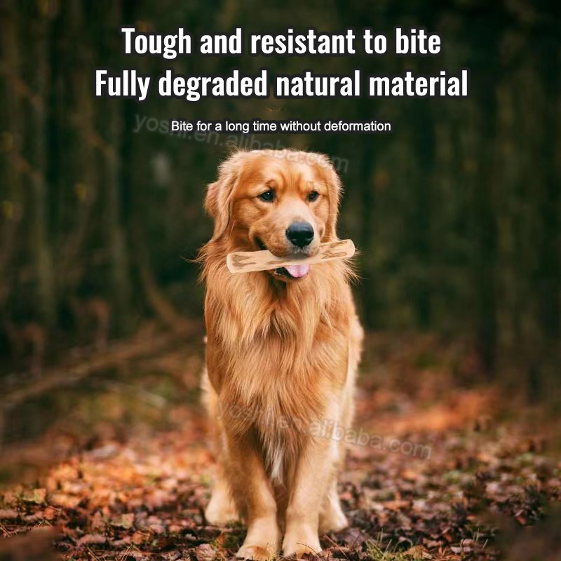 Coffee Wood Chew Toy Supplier - Multi Sizes Safe Durable Tooth Cleaning