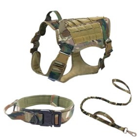 Dog Training Collar Supplier - Customize Logo Color Metal Buckle Tactical