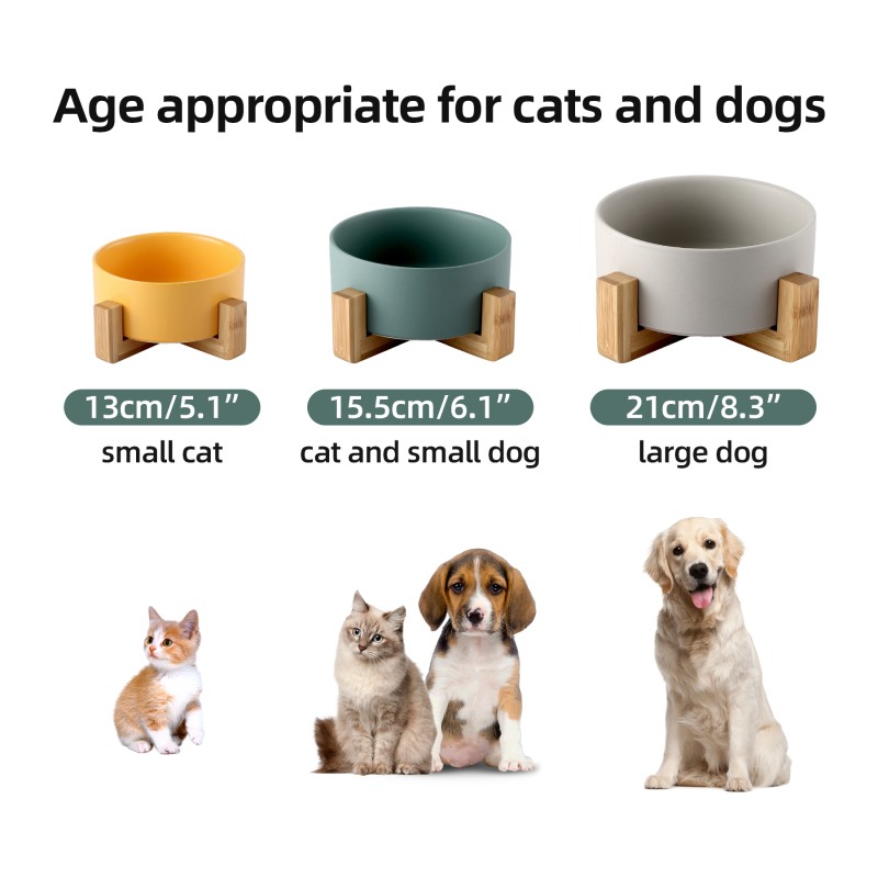 Ceramic Pet Bowl Manufacturer - Wholesale Colorful Feeder with Bamboo Frame