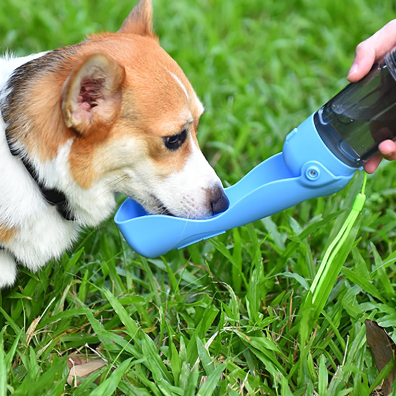 Portable Dog Water Bottle Factory - Foldable 4 in 1 Travel Outdoor with Bags