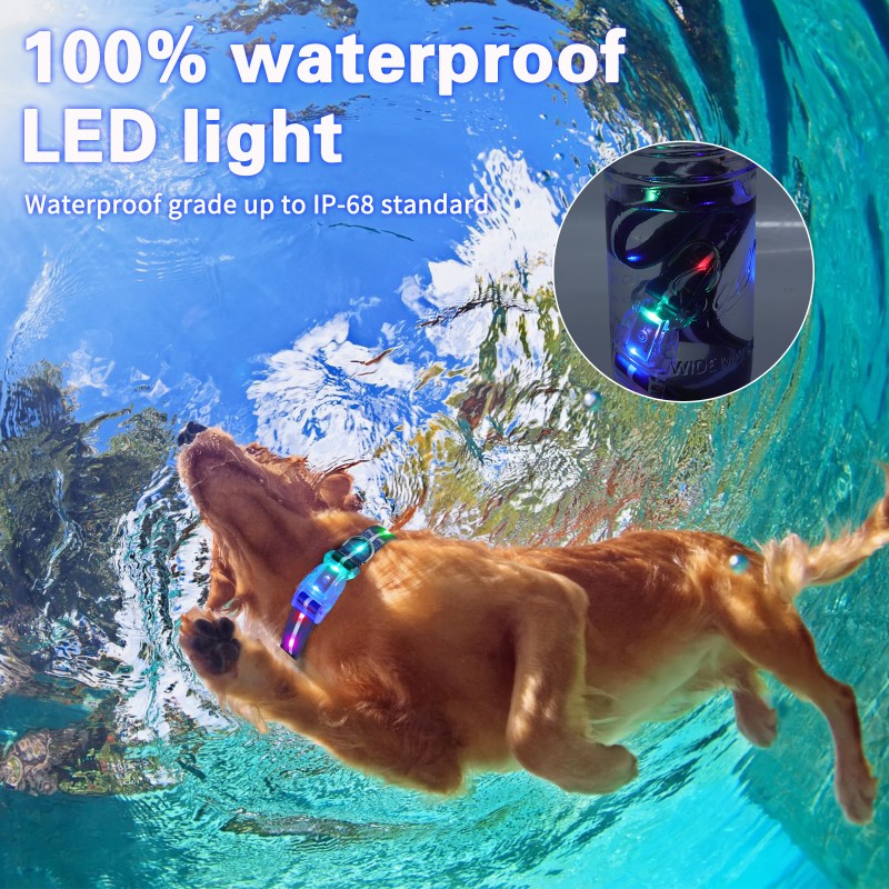 Glowing Dog Collar Manufacturer - Personalised USB Rechargeable Waterproof