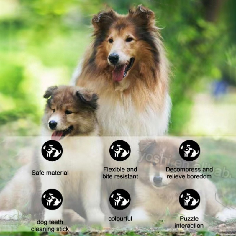 Coffee Wood Chew Toy Supplier - YOSHI Natural Molar Teething Stick Pet Toy