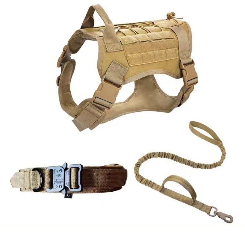 Dog Training Collar Supplier - Customize Logo Color Metal Buckle Tactical
