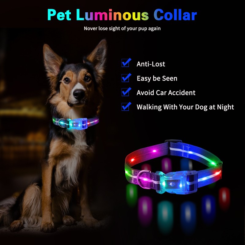 Glowing Dog Collar Manufacturer - Personalised USB Rechargeable Waterproof