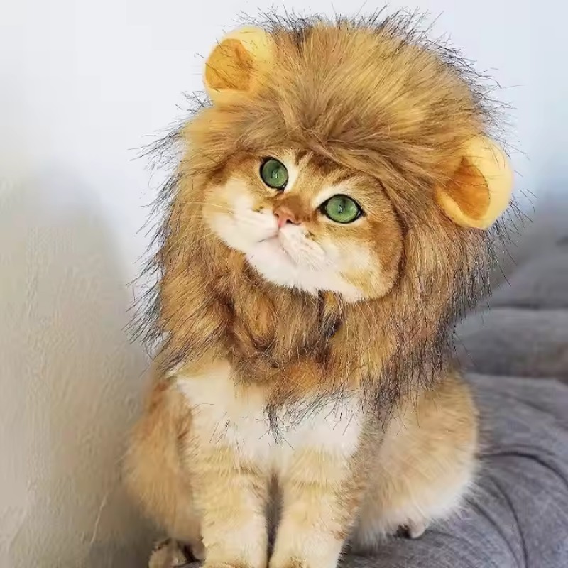 Pet Costume Hat Manufacturer - Petdom Cute Lion Hat Halloween Christmas