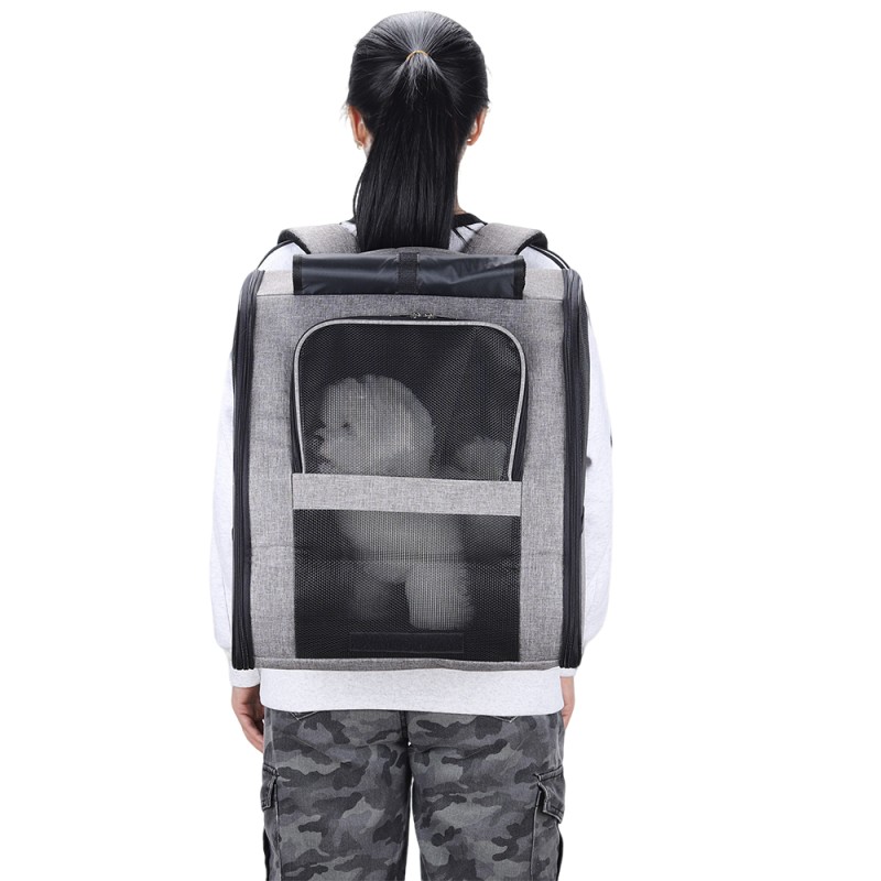 Pet Backpack Carrier Factory - Large Capacity Breathable Adjustable
