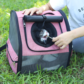 Pet Carrier Backpack Supplier - Hot Selling Pink Fashionable Outdoor