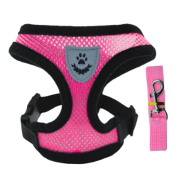 Dog Harness Manufacturer - Adjustable Chest Strap Harness Leash Collar