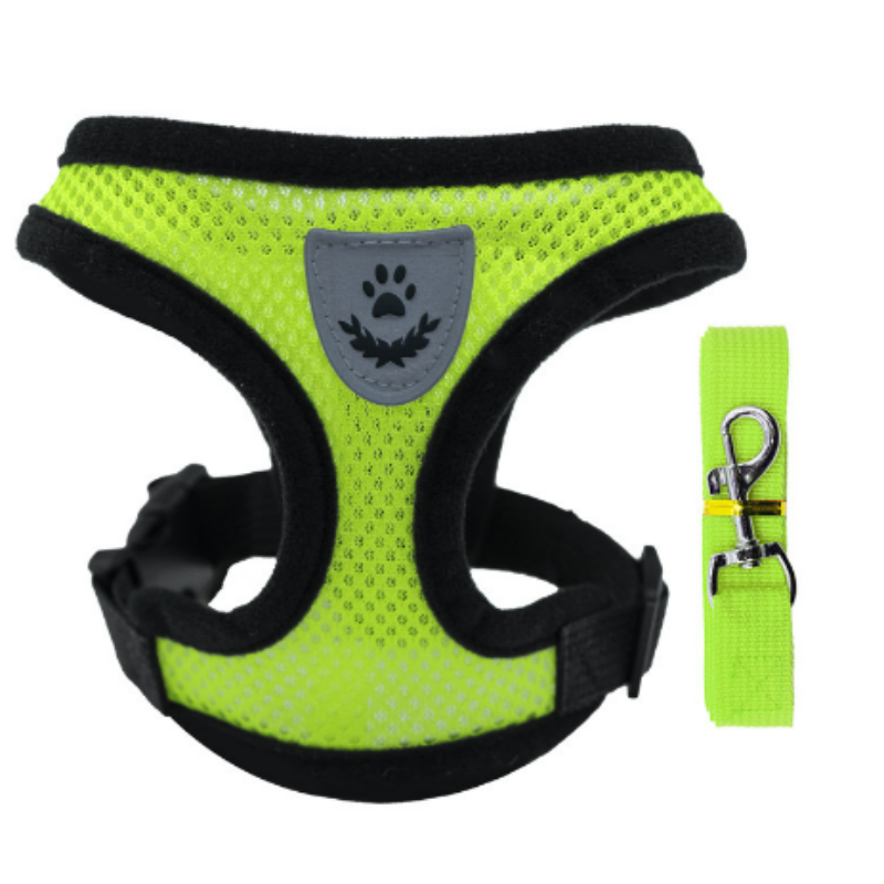 Dog Harness Manufacturer - Adjustable Chest Strap Harness Leash Collar