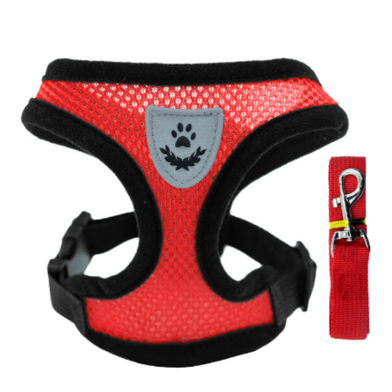 Dog Harness Manufacturer - Adjustable Chest Strap Harness Leash Collar