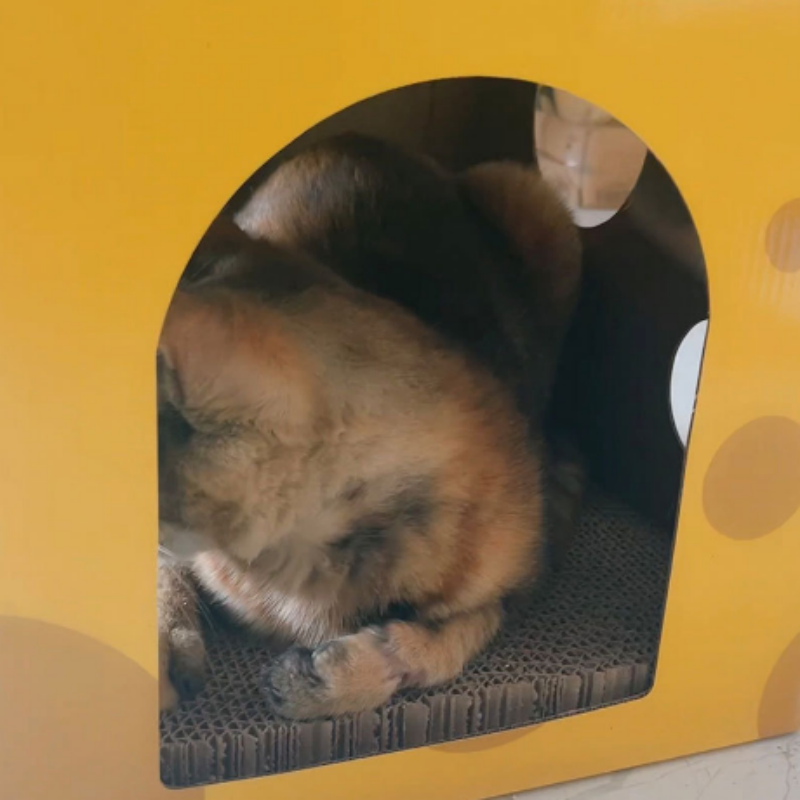 Cat Scratcher Manufacturer - Cheese Box Claw Board Two Layers Board Toys