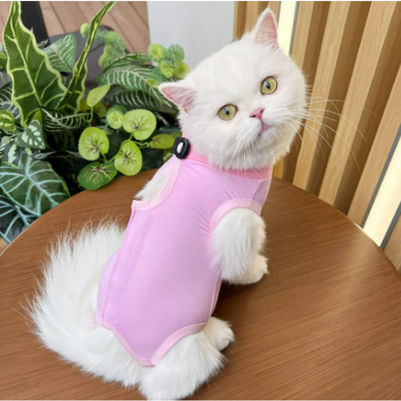 Cat Neutering Suit Supplier - Female Anti-Lick Breathable Elastic Recovery