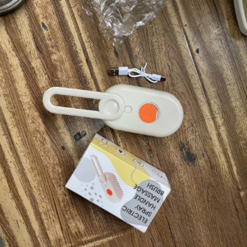 Electric Pet Brush Manufacturer - 2 In1 Spray Anti Flying Hair Removal