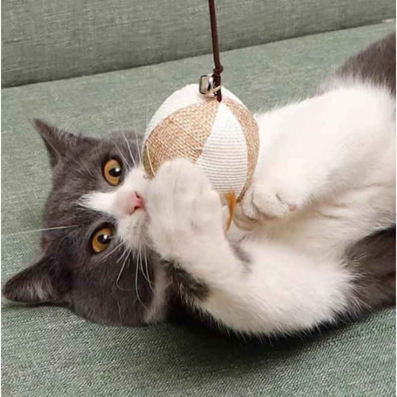 Pet Toys Supplier - Factory Wholesale Eco-friendly Funny Interactive Small