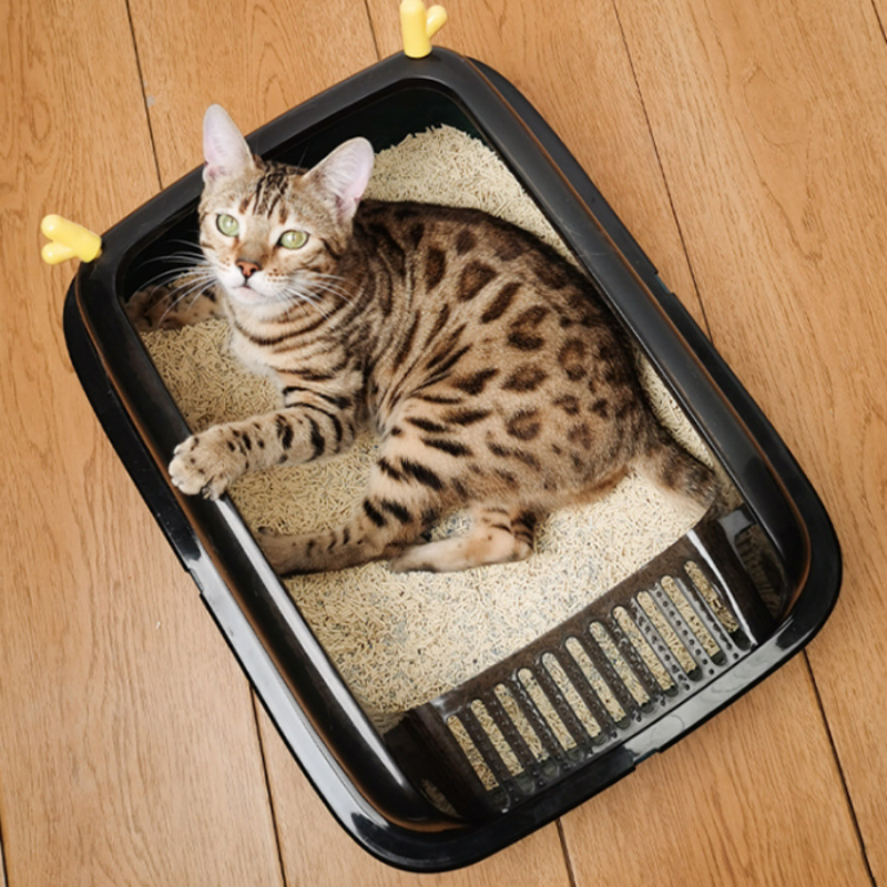 Cat Litter Box Manufacturer - Hot Sale Plastic Large Cleaning Toilet