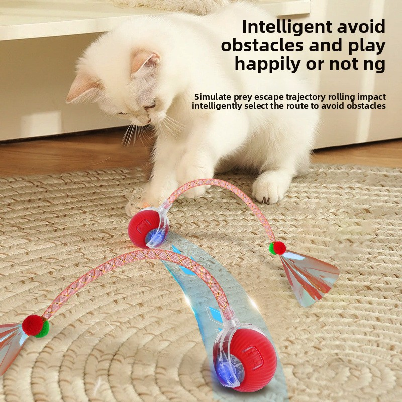 Smart Cat Toy Manufacturer - Self-Entertainment Electric Ball with Glowing