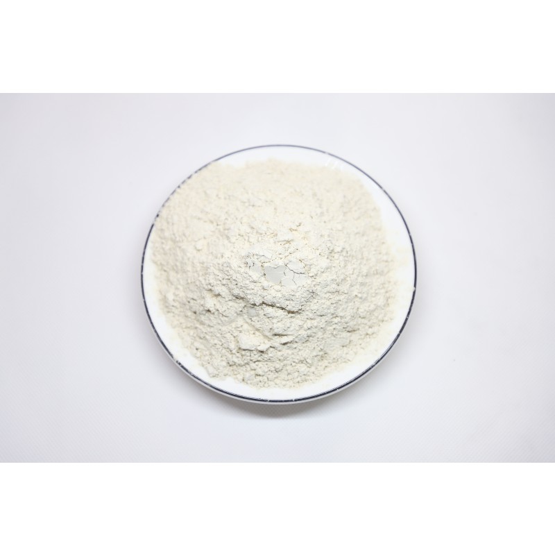 GMO Free  Bulk Rice Protein for Health Food