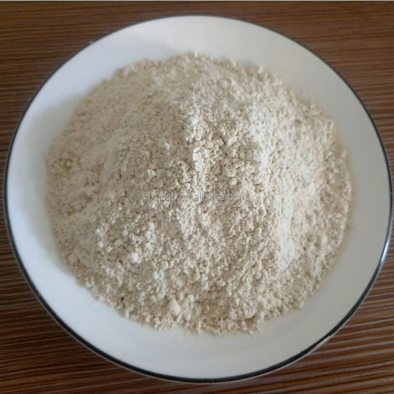 GMO Free Kosher  Isolate  Rice Protein  Powder