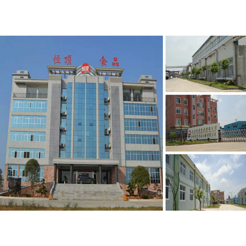 GMO Free  Bulk Rice Protein for Health Food