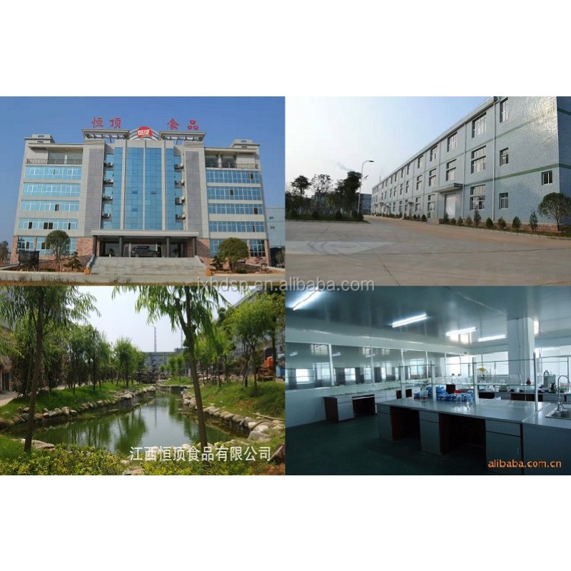 GMO Free Kosher  Isolate  Rice Protein  Powder