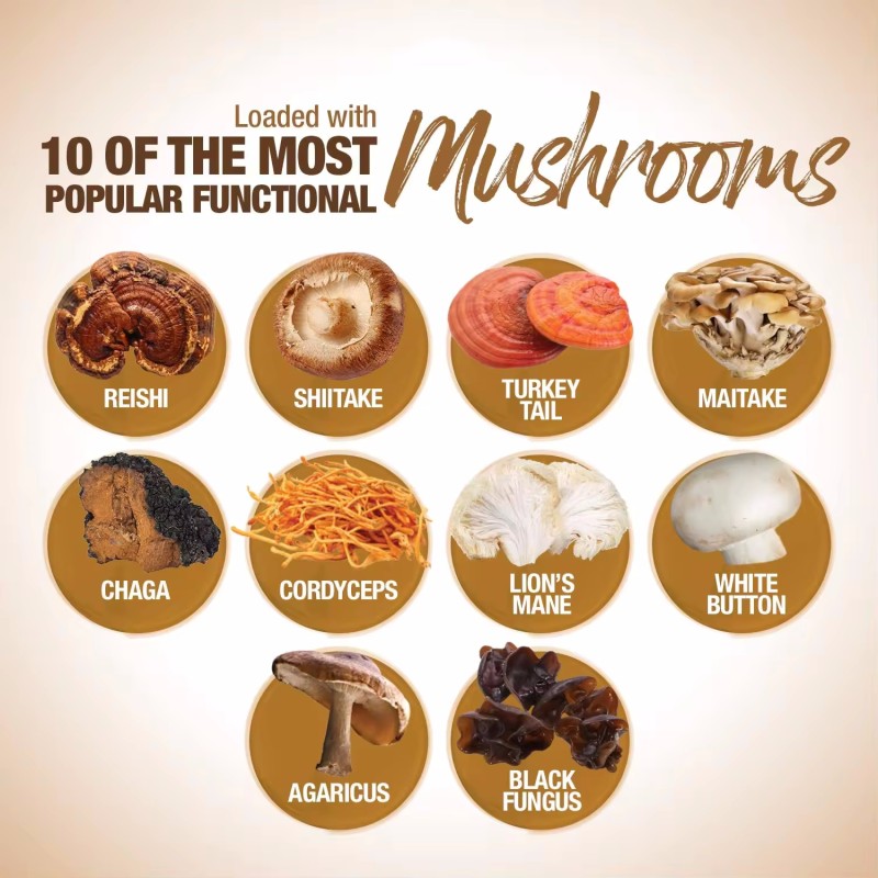 Mushroom Capsules Manufacturer - Wholesale Bulk Men Health Supplement