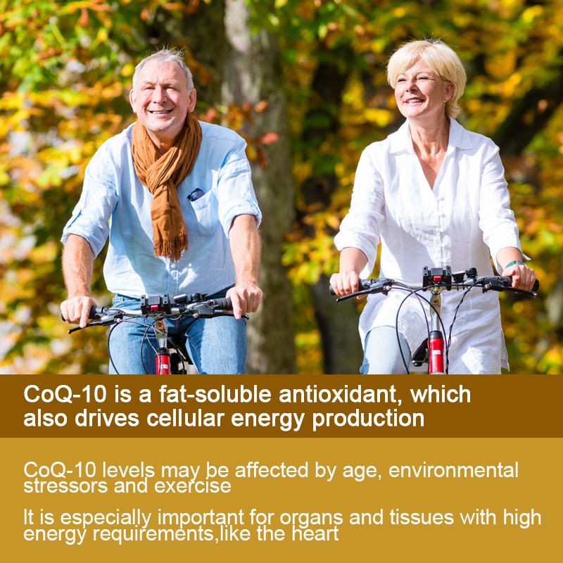 COQ10 Softgel Capsules Manufacturer - Private Label Heart Brain