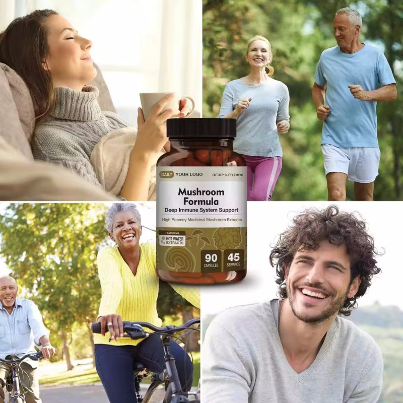 Lions Mane Capsules Manufacturer - High Quality Cognition Supplement