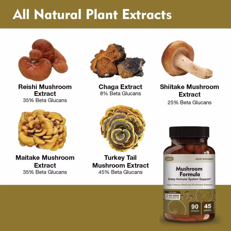 Lions Mane Capsules Manufacturer - High Quality Cognition Supplement