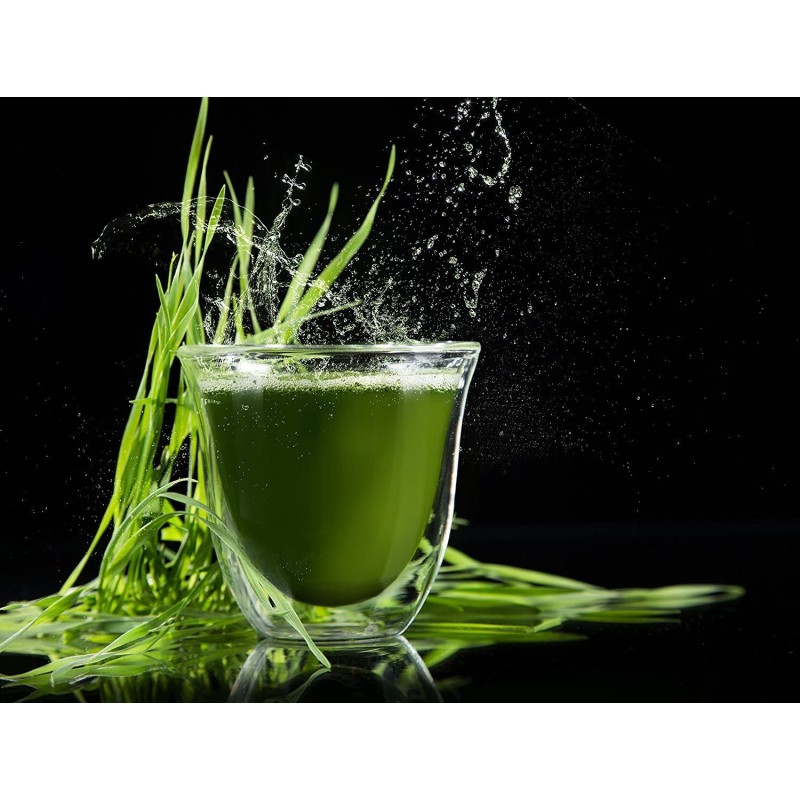 Greens Powder Manufacturer - Factory OEM Detox Spirulina Wheat