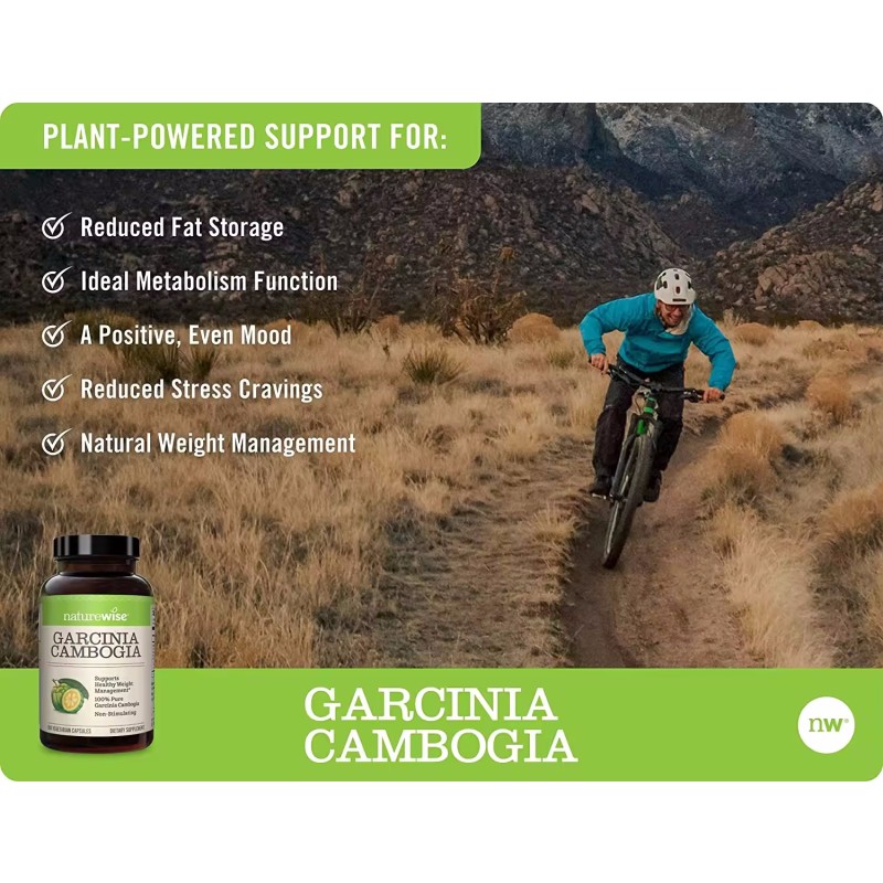Garcinia Cambogia Capsules Manufacturer - Free Samples Organic HCA