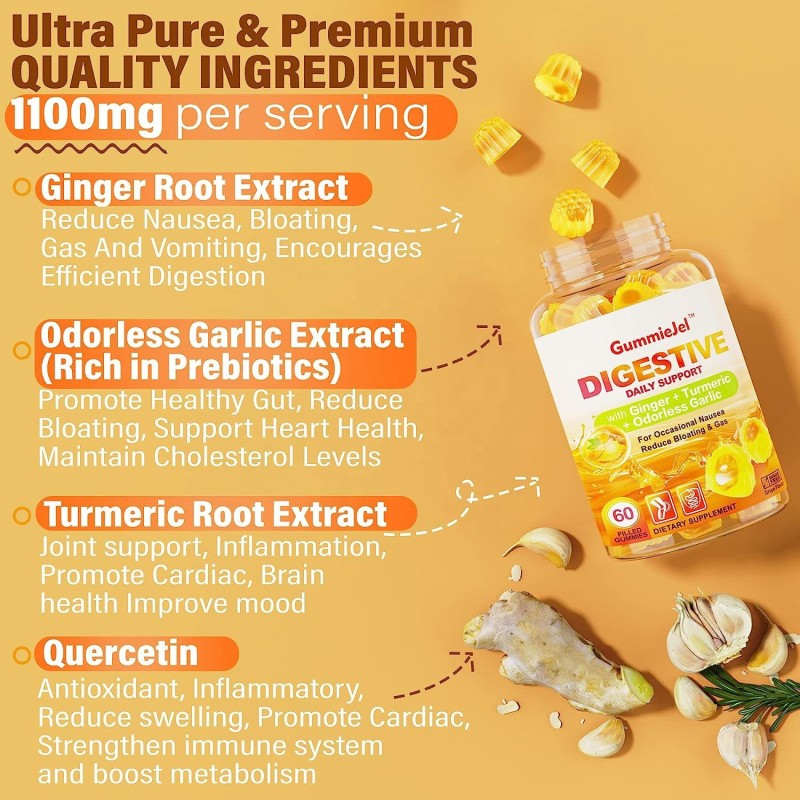 Digestive Support Gummies Manufacturer - Sugar Free Ginger Garlic