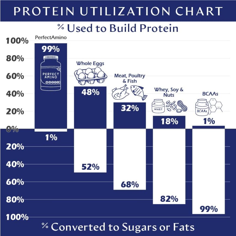 Amino Acids Powder Manufacturer - Wholesaler OEM Berry Workout Recovery
