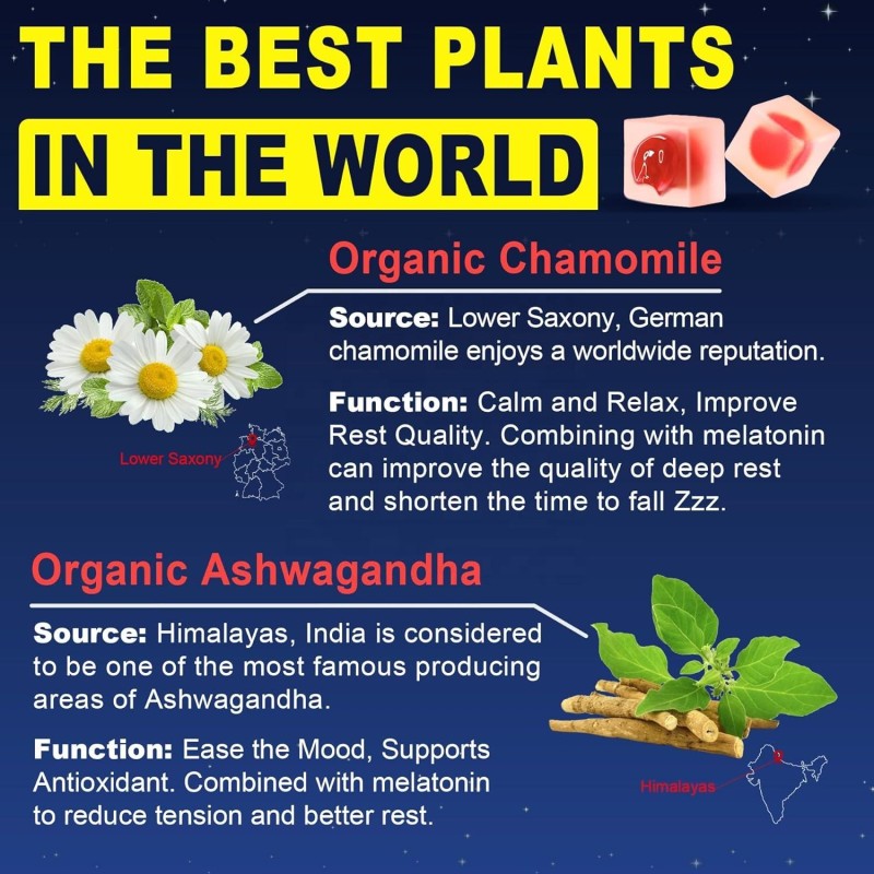 Melatonin Gummies Manufacturer - 60 Pieces Advanced Sleep Aid