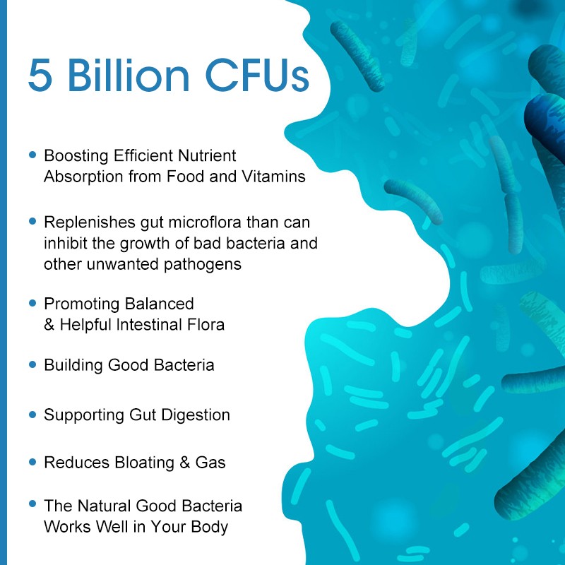 Probiotic Gummies Manufacturer - OEM Private Label Digestive Support