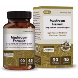 Lions Mane Capsules Manufacturer - High Quality Cognition Supplement