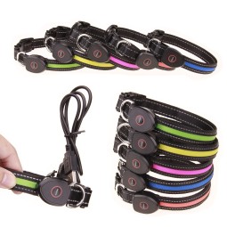 LED Dog Collar Factory - USB Rechargeable Night Glow