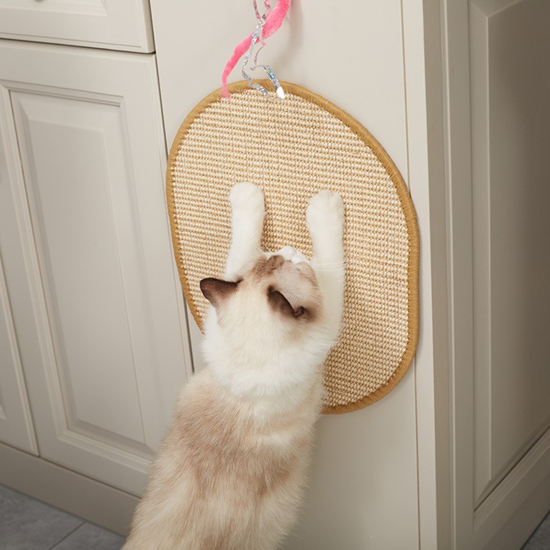 Sisal Carpet Manufacturer - Woven Adhesive Wall Protection