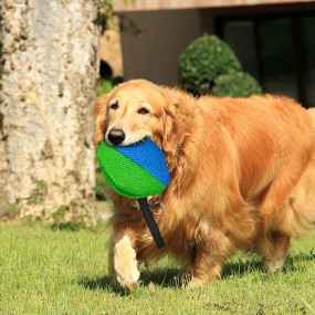 Dog Interactive Toy Manufacturer - Fetch Chew Toy Reward Function