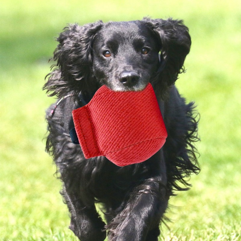 Interactive Training Bag Supplier - Tear Resistant Puzzle Chew