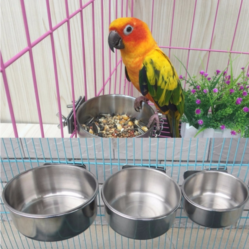 Bird Feeder Bowl Supplier - Hot Selling Stainless Steel Parrot Food Water