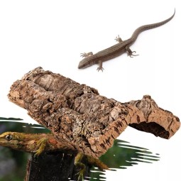 Reptile Enclosure Factory - Breathable Transparent Acrylic Insect Terrarium