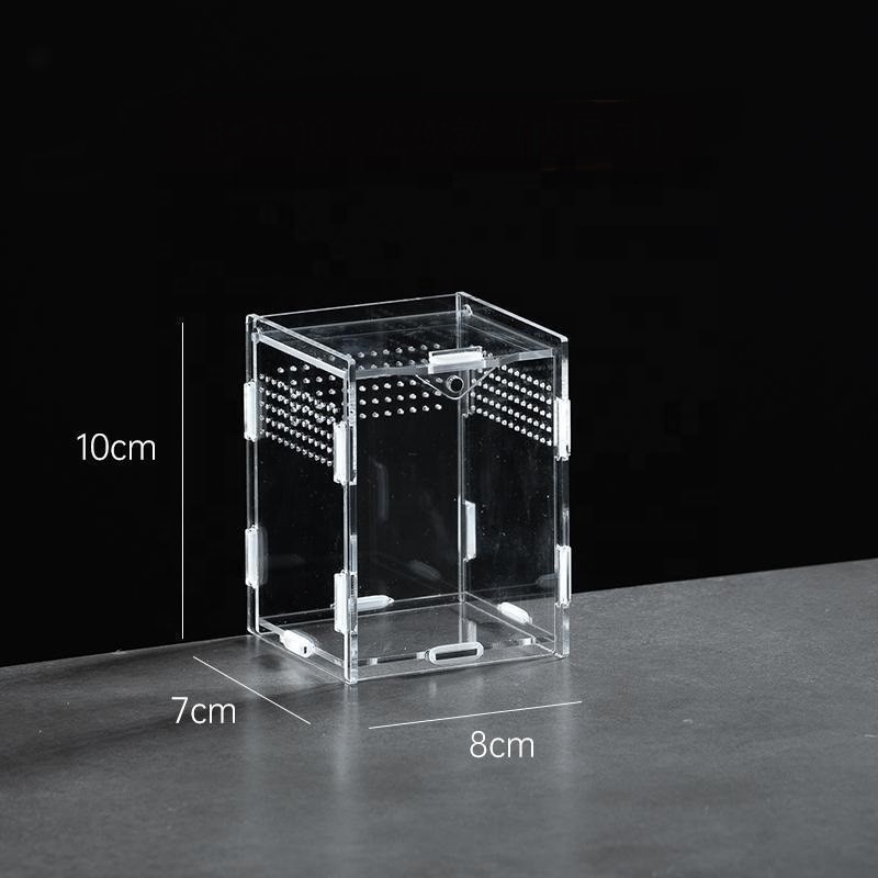Acrylic Reptile Cage Factory - High Quality Magnetic Landscaping Assembly Type