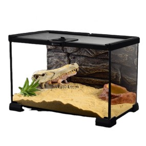 Acrylic Display Case Supplier - Custom Tall Magnetic for Arboreal Tarantula