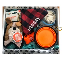 Pet Gift Set Factory - Customized Gift Box Bandana Portable Bowl Poop Bag