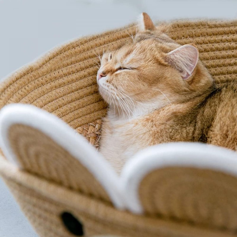 Natural Rattan Cat Bed Factory - Handmade Cooling Lovely Cradle Removable Cushion