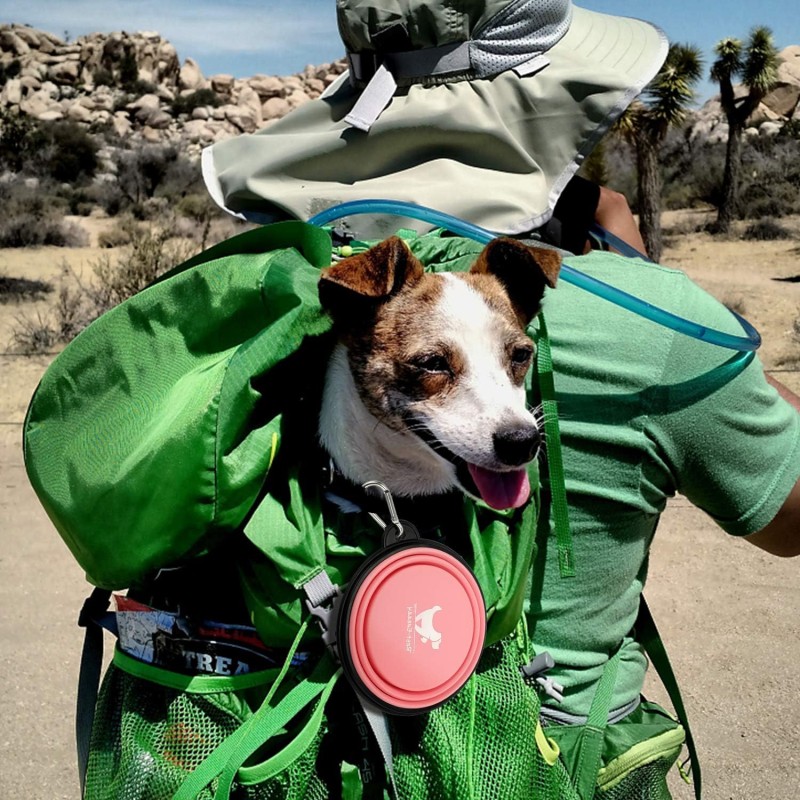 Portable Water Bowl Factory - Foldable Feeding Dish for Traveling Camping