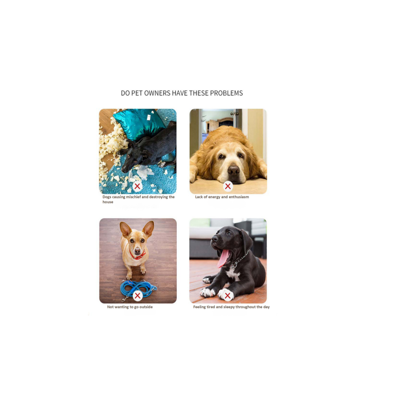 Indestructible Dog Toy Supplier - Chew Proof Eco-Friendly Aggressive Chewers