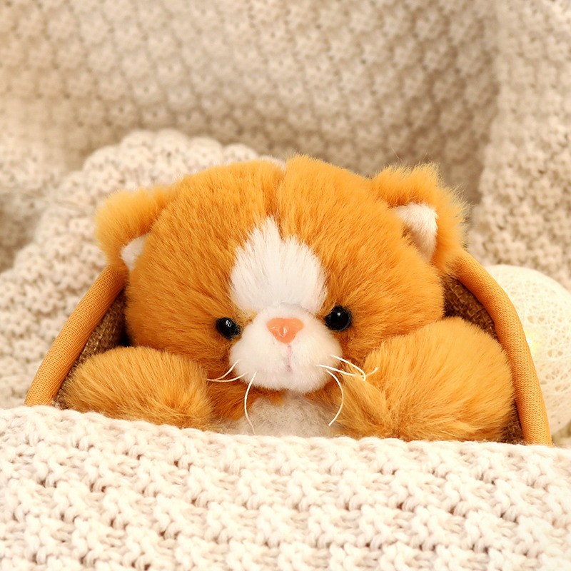 Plush Animal Toys Supplier - Wholesale Best Quality Kawaii Cotton Baby Cat