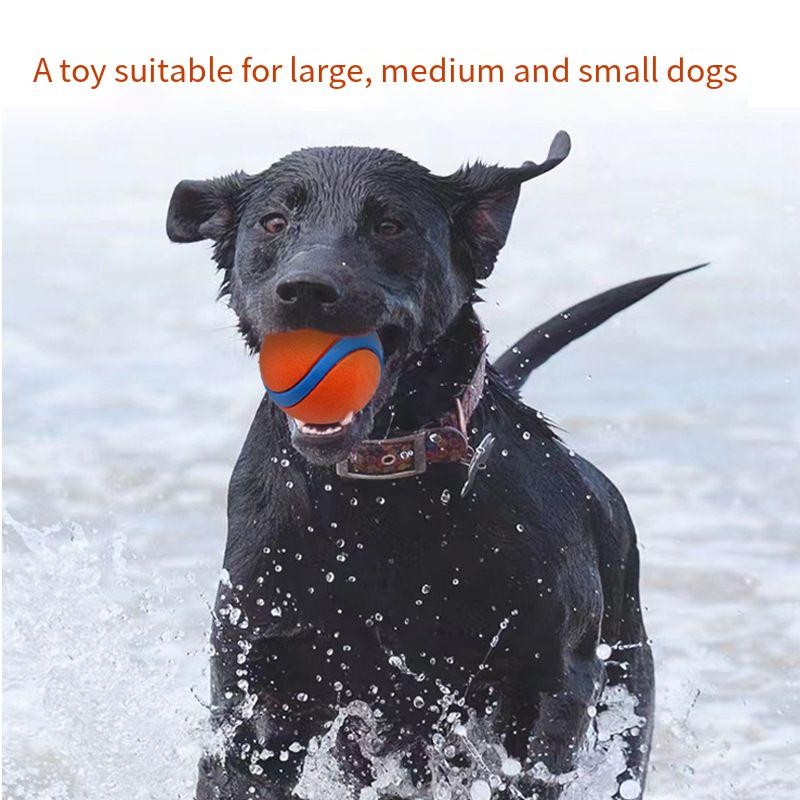 Rubber Chew Toy Manufacturer - Durability Stick-Shaped TPR Suction Cup Aggressive